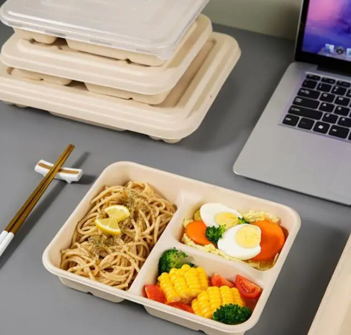 sugarcane bagasse pulp bento box