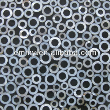 Circle freshwater river shell mosaic wall tile