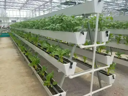 PVC Channel Hydroponic NFT Systems for Leafy Vegetable Growth