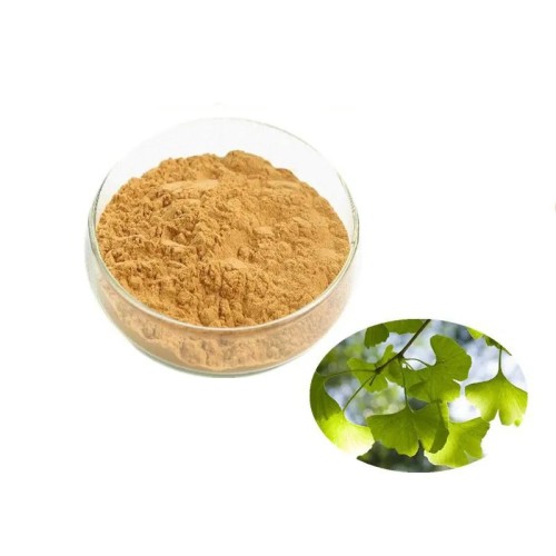 Ginkgo biloba leaf extract ginkgo biloba Extract Powder
