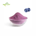 Organic Blueberry Powder Blueberry Fruit Powder Blueberry Extract