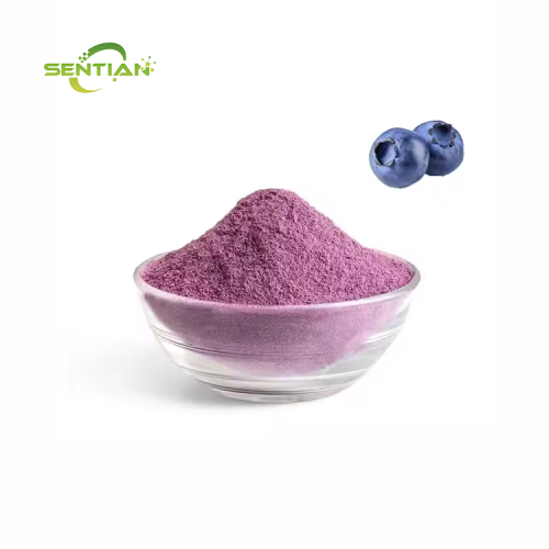 Organic Blueberry Powder Blueberry Fruit Powder Blueberry Extract