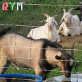 Ovelha da fazenda de rede de galinhas e cercas de cabra