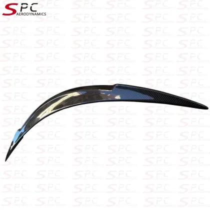 SPC R Carbon Fiber Rear Wing for Tesla Model S