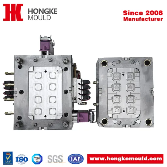 New Energy Electric Vehicle Injection Mold