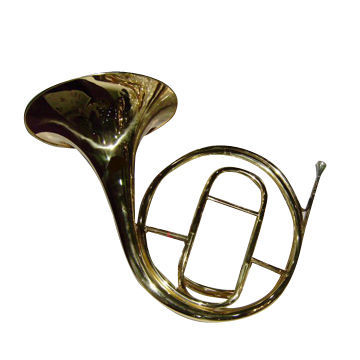 Gold Lacquer French Horn, Gold Lacquer Surface