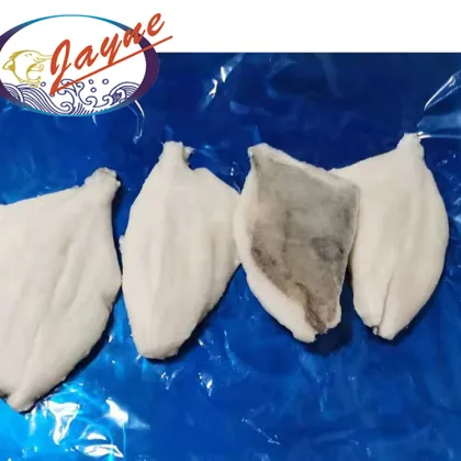 New Products Seafood Products Frozen John Dory,Vacuum Packing Frozen John Dory Fillet