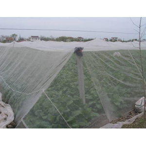 Anti insect net good factory