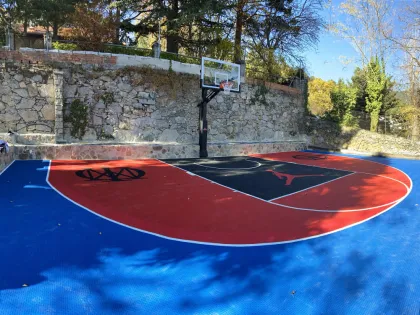 FIBA approved tiles interlock tiles for all sports
