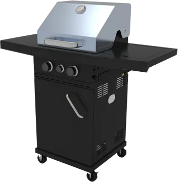 Professional Outdoor Gas Grill