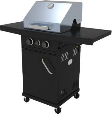 Professional Outdoor Gas Grill