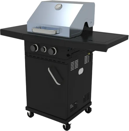 Professional Outdoor Gas Grill