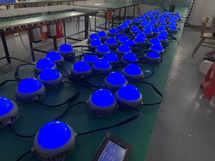 Ornamental LED pixel lights