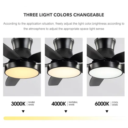 Copper Motor Modern Ceiling Fan Lights for Home Decoration