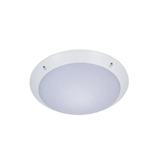 12W Waterproof Outdoor Ceiling Light Fixtures: Ideal for Bathroom and Surface Mounting