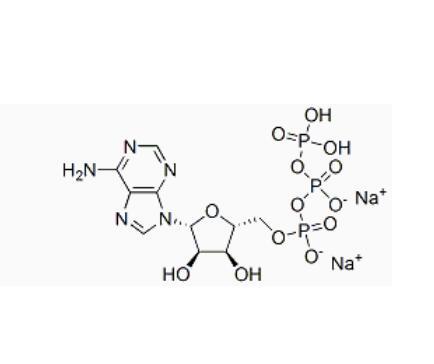 Adenozin 5'-trifosfat disodyum tuzu CAS 987-65-5
