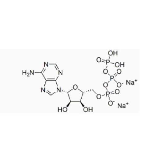 Adenosina 5'-trifosfato dissódico sal CAS 987-65-5