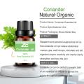 Widely Selling100% Pure Coriander Essential Oil For Skincare