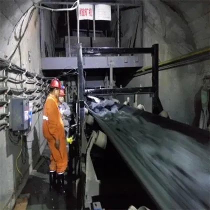 Detector / mine metal detector for cement, ports, power plants