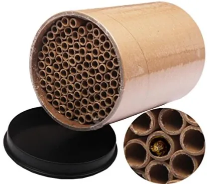 Small Diameter Kraft Paper Tube For Bee Nestling