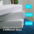 Most Popular Rectangle Bed Pillows