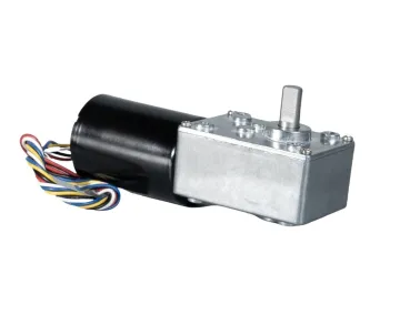 5840 Worm Gearbox with BLDCC 3650/3640 DC Brushless Motor - High Torque 400kg Geared Motor 12V/24V 470rpm