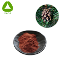 Lycopene Powder Pycnogenol 98% French Coastal Pine Bark Extract Powder Factory