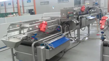 IQF/Fresh vegetable processing production line/automatic vegetable washing line
