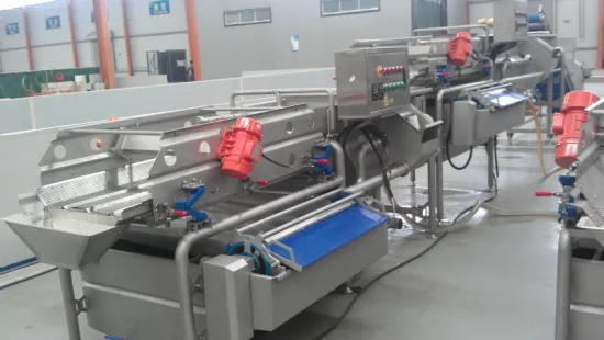 IQF/Fresh vegetable processing production line/automatic vegetable washing line