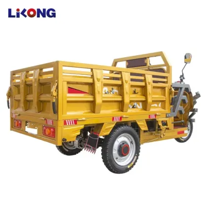 EEC Certified Electric Tricycle for Cargo Delivery - Factory Sales Big Wheel Tricycle