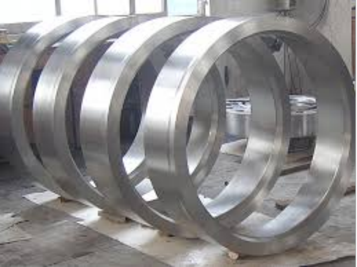 Hollow fixed bearing ring
