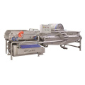 Carrot Pre-IQF Processing Line