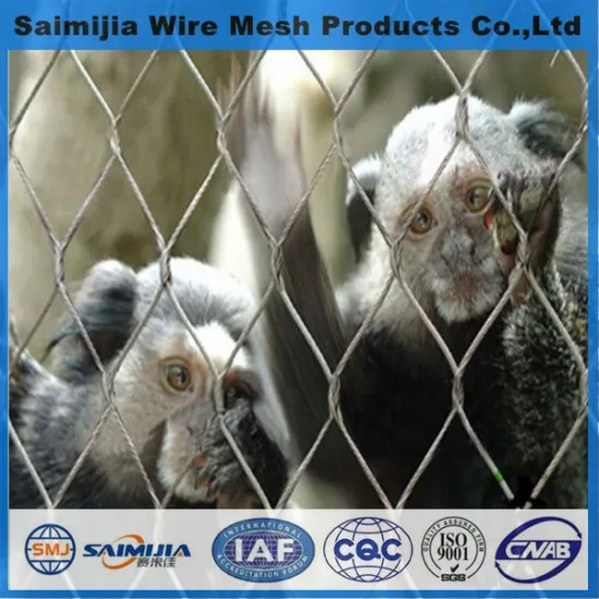 Specializing in the production ofstainless steel rope mesh bird screen mesh