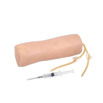 Darhmmy Advanced Medical Nursing Training Model: coude Venipuncture pour injection et perfusion