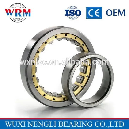 China manufacturer Large lead competitive price cylindrical roller bearings N1010 for rolling mill
