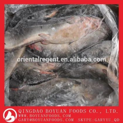 frozen catfish fillet