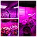 Luz de cultivo LED Phlizon 600w