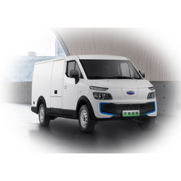 Karry Dolphin Electric Van- 고품질 5 도어 2 인승 트럭