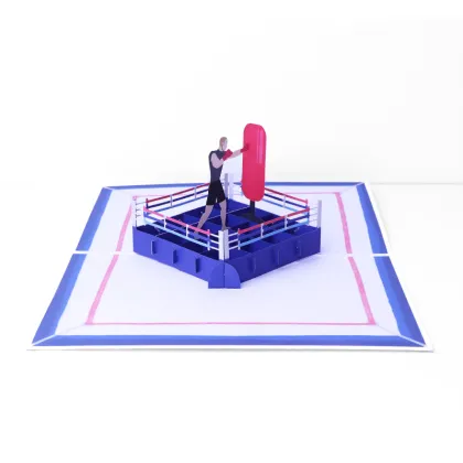 3D Boxing Gloves Greeting Card