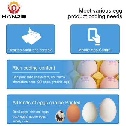 Automatic Egg Inkjet Printer for Coding and Batch Number Marking