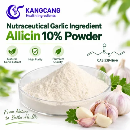 Immune Support Garlic Extract Allicin 10% Powder