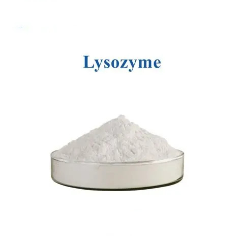 LYSOZYME