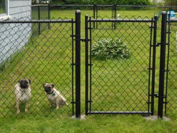 Galvanized PVC Coated Chain Link Fence