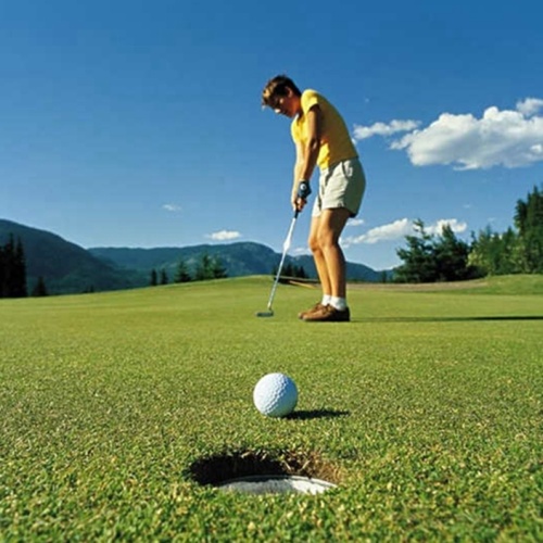 Golf Club Artificial Grass