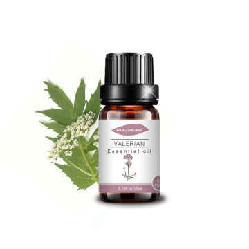 Mais vendido Pure Valerian Essential Oil Ajuda Sleep