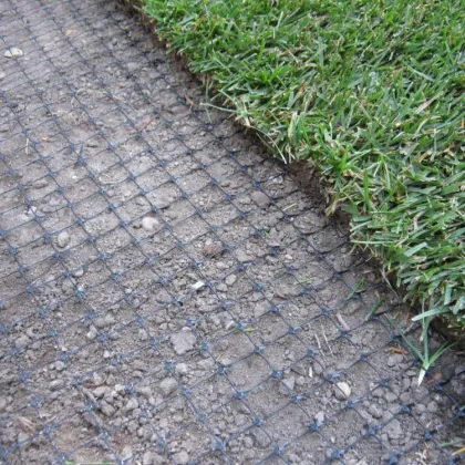 American Sheep Fence and Australian Rabbit Fence