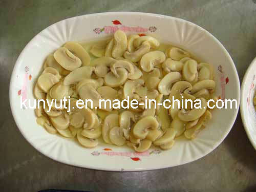 Canned Mushroom Pns with High Quality