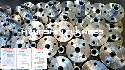 BS10 Table DE Weld Neck Flange SOFF BLANK