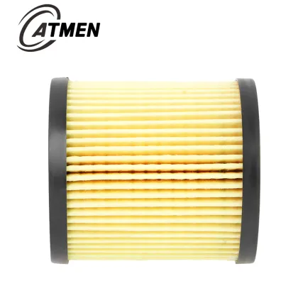 Auto Oil Filters Element 1717510 LR001247