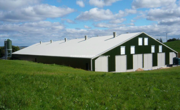 Sudan Poultry House/Chicken House (br00184)